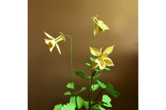 Columbine Paper Flower Templates: 3D SVG Designs for Editorial & Web Use